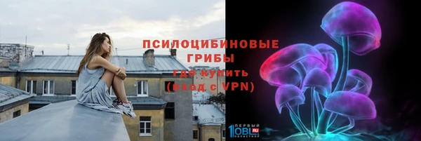 СК Волосово