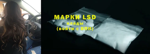 СК Волосово