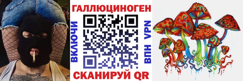 Псилоцибиновые грибы Psilocybe  Волосово 